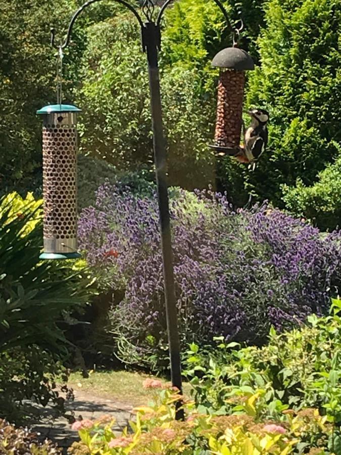 Entire Guest House, In Pewsey Vale, Wiltshire Manningford Abbots 외부 사진
